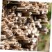 Bee House Bee Tubes 50pcs:Mason Bee Tube Refill Ground Mason Bees for Bee Storage Tubes Bee Habitat Mason Bee House Tubes Carpenter Bee House Mason Bee Paper Inserts Hive Lining - Buy Online on GoSupps.com