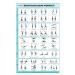SPORTAXIS- No-Equipment Laminated Resistance Band Workout Poster with Colored Illustrations- Home Workout Poster for Men and Women - Advanced Home Training Wall Poster (18" x 27")