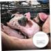 minkissy 4 Pcs Pregnant Tester Animal Clothes for Ferrets Sow Pregnancy Test Strips Sow Pregnancy Tester Pig Pregnancy Test Strip Farm Supply Plastic White High Precision Accessories Whitex2pcs 1 count (Pack of 1) - Buy Online on GoSupps.com