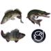 Buy PetrisCatch Set of 5 Titanium Leaders with Snap Hook for Pike - 25cm/40cm 12kg/20kg - Ideal for Zander Fishing - Buy Online on GoSupps.com