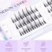Arison Lashes Manga Cluster DIY Eyelash Extensions - Natural Look Wispy Anime Cosplay False Eyelashes with Bottom Lashes - Easy to Use for Beginners - 1 Pack - Buy Online on GoSupps.com