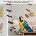 Fdit Bird Ladder Toy Hamster Stairs Wooden Flexible Suspension Bridge Climbing Swing for Parrot Budgie Parakeet Cockatiel African Grey Hamster Squirrel - Buy Online on GoSupps.com