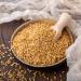 Buy Organic Golden Linseed 1.0 kg - Untreated Plastic-Free & Eco-Friendly | s ssundclever.de  - Buy Online on GoSupps.com