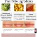 Natural Lip Plumper Gloss 2pcs | Moisturizing Vitamin E Lip Maximizer Serum - Buy Online on GoSupps.com