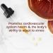 Host Defense Reishi Extract 1 fl oz - General Wellness Mushroom Supplement - Buy Online on GoSupps.com