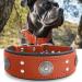 Dog collar leather 5 cm wide robust real leather neck band handmade soft and luxurious striking best choice for large and medium-sized dog breeds orange 49.5-60 cm 49.5-60 cm orange
