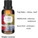 Essential Oils for Diffusers - Maple Leaf Scent 50ml - CAKKI Fragrance Oils for Candle & Soap Making - Buy Online on GoSupps.com