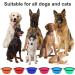 2 Pack Large Foldable Dog Bowls - 1000ml Portable Pet Feeder for Travel & Hiking (Red + Orange) - Buy Online on GoSupps.com