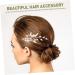 Ipetboom Hair Barrettes Hair Clip Tiara Hair Pin Barrettes for Women Barrettes for Thick Hair Accessories Bride Cheongsam Plastic - Buy Online on GoSupps.com