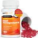 Max Strength PE Phenylephrine HCl 10mg - Non Drowsy Nasal Decongestant for Allergy & Sinus Congestion Relief | Compare to Sudafed PE - 100 Count Tablets - Buy Online on GoSupps.com