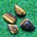 Crystal 2PC Natural Crystal Quartz Tiger Eye Stone Specimen JZIGTDEM - Buy Online on GoSupps.com