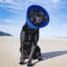 Adjustable Soft Recovery Elizabethan Collar for Dogs & Cats - Newsbirds Blue Medium Size 6 - Convenient Protective Pet Neck Guard - Buy Online on GoSupps.com