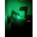 Apex Predator Fishing Bite Alarm Bells with Light 30 Pack - Fishing Gear Essential - Buy Online on GoSupps.com