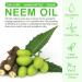 Organic Neem Oil for Skin Hair - Leaves Skin Youthful & Radiant Promotes Healthier Thicker Hair - Neem Oil for Plants - 100% Natural Cold Pressed Hexane Free - 2PCS 120ml - Buy Online on GoSupps.com