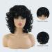Premium 12-Inch Black Curly Afro Wigs for Black Women | Heat-Resistant Natural-Looking Wigs for Daily Wear Cosplay & Halloween - Buy Online on GoSupps.com