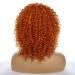 ColourfulPanda Afro Wig for Women - Curly Ginger Red Synthetic Hair with Pony for Black Women | Kinky Curly Orange Copper Style - Buy Online on GoSupps.com