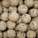 Premium fat balls with insects 100 x approx. 90 grams without net