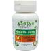 Mulethi Forte Capsules 500 mg. 60 Veg. Capsule | Yasthimadhu (Glycyrrhiza Glabra) Extract Capsules for Men and women | Ayurvedic Herbal Supplement/Remedies | 10:1 Forte (2 Bottles of 60 Capsules) 120 Count (Pack of 1) - Buy Online on GoSupps.com