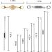 Beinhome 22Pcs Magnetic Jewelry Clasps & Extenders - Gold & Silver, Various Sizes & Styles - Buy Online on GoSupps.com