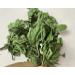 Fujian Friday Mint Leaves Dried Leaves Herbal Tea 200G - Buy Online on GoSupps.com