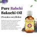 d ve herbes Babchi (Bakuchi) Oil (Psoralea corylifolia) with Glass Dropper | Cold Pressed | Pure | For Diluting Essential oils | Skin & Massage | Non-Sticky | Lightweight | Unisex | 30ml (1 oz) - Buy Online on GoSupps.com
