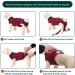 Kuoser Dog Recovery Body - Breathable After Surgery Suit for Male Dogs | Leakage Protection & Anti-Licking | Red Striped XL (1 Pack) - Buy Online on GoSupps.com
