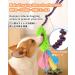 Shop Schitec Dog Toys | Interactive Training Rope Squeaky Dashy Toys for All Dog Sizes - Premium Chenille & Short Grip - Buy Online on GoSupps.com