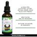 Lose It Ultimate Extract (Garcinia Cambogia Extract) 50ml. Get thin by by eating less naturally. Gluten-free alcohol-free GMO-free soy-free. Great tasting concentrate. - Buy Online on GoSupps.com