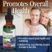 Lobelia Herb Supplement - Natureâ€™s Answer 1 FL Oz | Gluten & Alcohol-Free | Boost Immunity & Overall Health (690mcg) - Buy Online on GoSupps.com