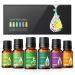 AOSNO Essential Oils 6pc Gift Set Top 6*10 ml Essential Oils for Aromatherapy, Candle Making, Skin, Massage, Hair Care & Diffuser 100% Pure Diffuser Oil Aromatherapy Oils Gift Set for Home Office 0.34 Fl Oz (Pack of 6)