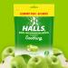 Halls Throat Soothing Green Apple Cough Drops Economy Pack 80 Drops - Buy Online on GoSupps.com