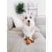 Nylabone Fork Dog Bones - Bison Flavor for Heavy Chewers | Small - 1 Piece (Up to 11kg) - Buy Online on GoSupps.com