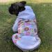Miaododo Dog Hooded Sweaters - Warm Chihuahua Clothing for Small & Medium Pets | Violet (M) - Stylish & Functional - Buy Online on GoSupps.com