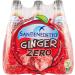 San Benedetto Ginger Zero PET Lot de 12 bouteilles sans sucre 0 75 l