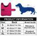 Shop Minezi Waterproof Dachshund Winter Jacket - Cozy Wool Lining & Adjustable Straps | Pink M (42-45cm) - International Shipping Available! - Buy Online on GoSupps.com