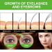 100% Cold Pressed Organic Castor Oil for Eyelashes Eyebrows & Skin Moisturizer - 1 Fl Oz | Best Hair & Body Care for Women - Buy Online on GoSupps.com