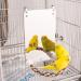 HYLYUN 7 Inch Bird Mirror with Rope Perch - Cage Toy for Cockatiel, Parakeet, Conure - Swing & Play Mirror for Parrot Entertainment - Buy Online on GoSupps.com
