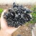Gemstone Decoration Beautiful Black Quartz Cluster Specimen Natural Quartz Minerals StoneSpecimenMineral Stone (Size : 650-700g) JZIGTDEM - Buy Online on GoSupps.com