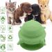 MoYouno Newborn Pet Feeder Set - 4 Teats Puppy Bottles & Silicone Milk Bowl 150 ML - Ideal for Nursing Puppy, Kitten, Squirrels - Green - Buy Online on GoSupps.com