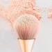 KAAGEE 2Pcs Nail Dust & Acrylic Brush Set - Makeup & Nail Art Tools - Gold+Black - Buy Online on GoSupps.com