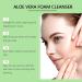 Nettoyant Visage Moussant L'aloe Vera - Nettoie En Douceur Les Pores Hydrate (sans Tiraillements) limine Impuret s L'acn Et Points Noirs For Une Peau Nette(1PCS) 1 g (Lot de 1) - Buy Online on GoSupps.com