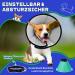 Supet Breaker Dog Leak Protection Collar | Adjustable Soft Tape | Eco-Friendly & Breathable Neck Band | For Post-Op Recovery | Size L (28-33cm) - Lime Green - Buy Online on GoSupps.com