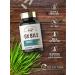 Carlyle Ox Bile Supplement 500mg - 60 Capsules | Digestive Enzyme Non-GMO & Gluten Free | Herbage Farmstead - Buy Online on GoSupps.com