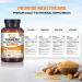 Organic Turmeric Capsules 1440mg | 120 Capsules with Black Pepper & Ginger | High Strength Curcumin Supplement | Made In UK - Buy Online on GoSupps.com