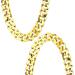 Hoedia Faux Gold Chain Necklace Hip Hop Chain Gold Necklace for Men Gold Chain Necklace 30.7in Punk Style Necklace Removable Chain for Pet Cats & Dogs Taking Pictures Christmas Costume - Buy Online on GoSupps.com