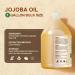 1 Gallon Jojoba Oil EWG Verified - 100% Pure Jojoba Oils Bulk Cold Pressed Unrefined Hexane Free Virgin Golden jojoba Carrier Oil for Hair Skin Massage DIY Natural Body Moisturizer 128 Fl Oz (Pack of 1) - Buy Online on GoSupps.com