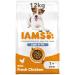 IAMS Light in Fat Complete Dry Dog Food Chicken 12kg - 30% Lower Fat Formula 12 kg (Pack of 1)