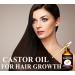 Organic Cold Pressed Castor Oil for Hair Eyelashes and Beard Growth - 3.38 fl oz Unrefined | Sedbuwza - Buy Online on GoSupps.com