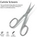 Eagerbeauty Stainless Steel Cuticle Scissors - Curved Blade Small Scissors for Nails, Eyebrows, Eyelashes, Dry Skin - Nail Trimming Tool - Buy Online on GoSupps.com