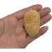 PEPPERLONELY 8PC Natural Silk Facial Sea Sponges Set - Ideal for Body, Face, and Baby Bathing - Honeycomb Type - 2'' to 2-1/4'' - Includes Glove Sponge - Buy Online on GoSupps.com